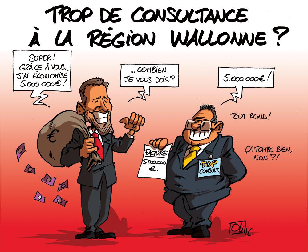 Region-wallonne-Consultance