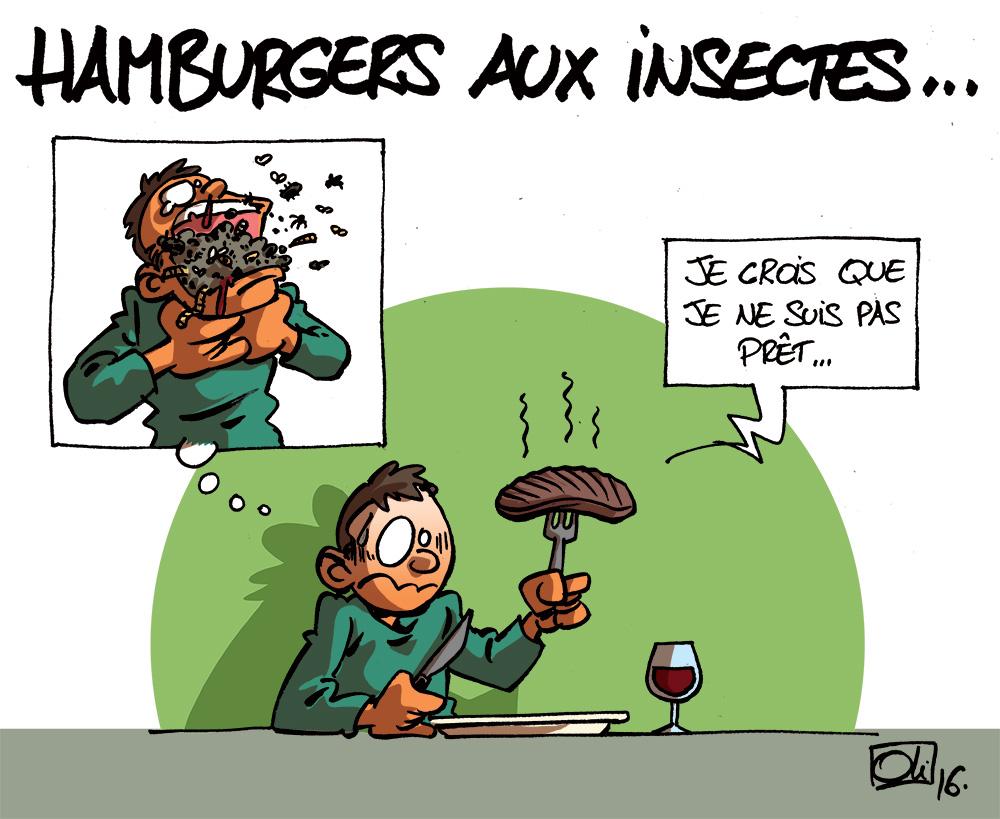 hamburgers-Insectes