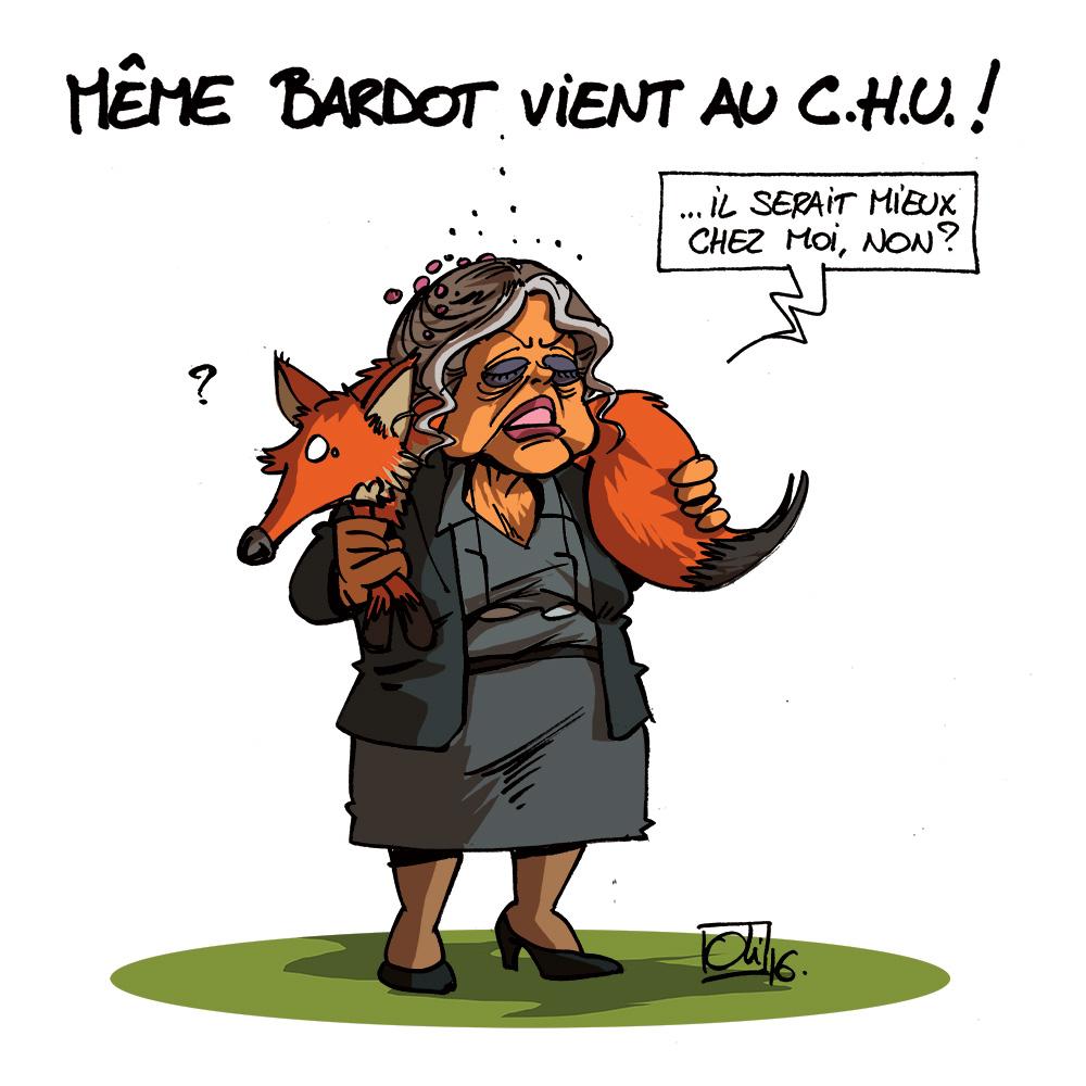 CHU-Renard-Brigitte-Bardot