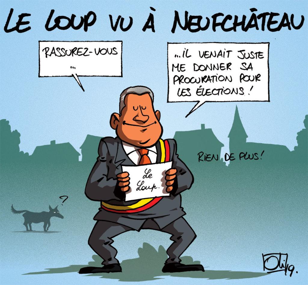 Le loup aperçu à Neufchâteau !