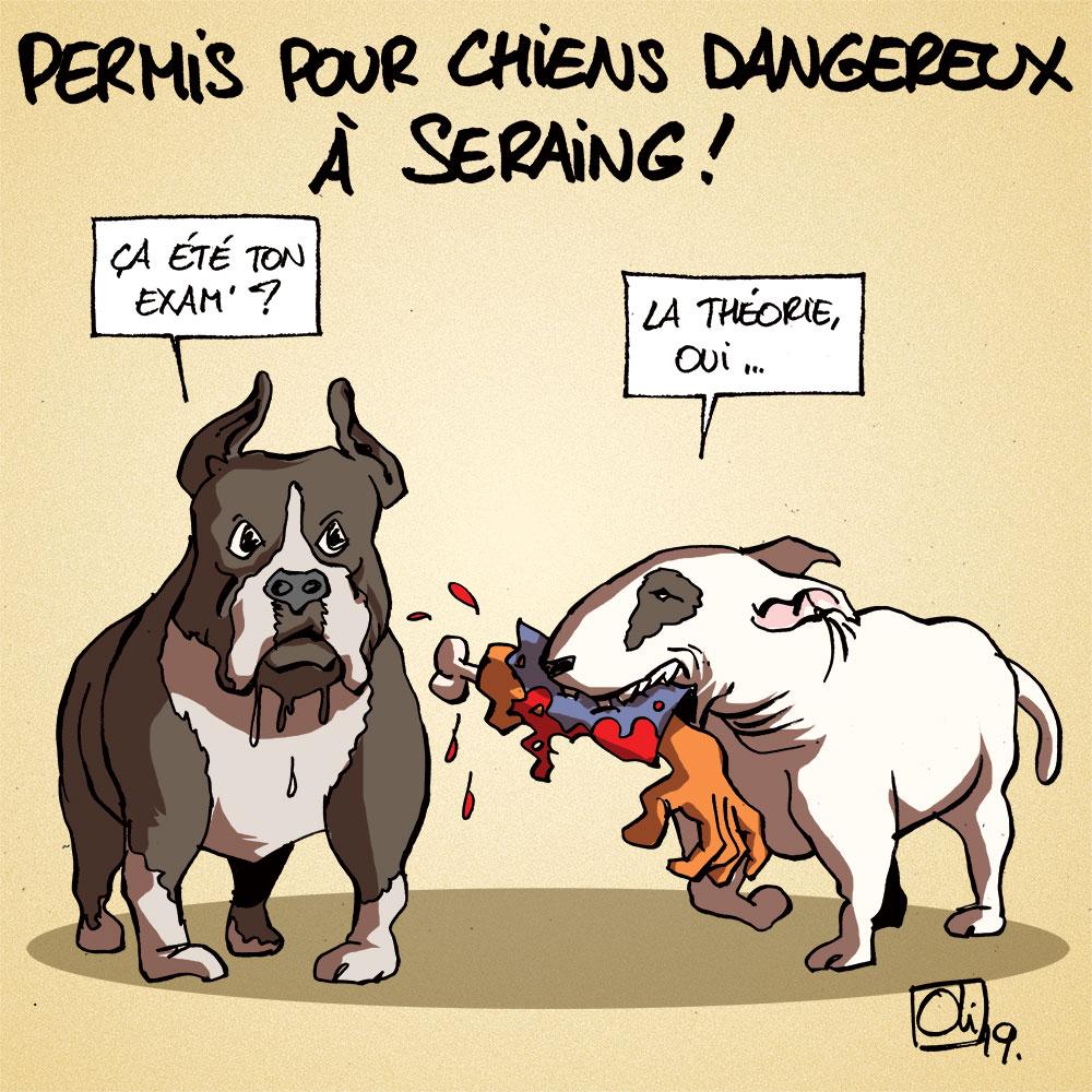 Chiens dansgereux : un permis !