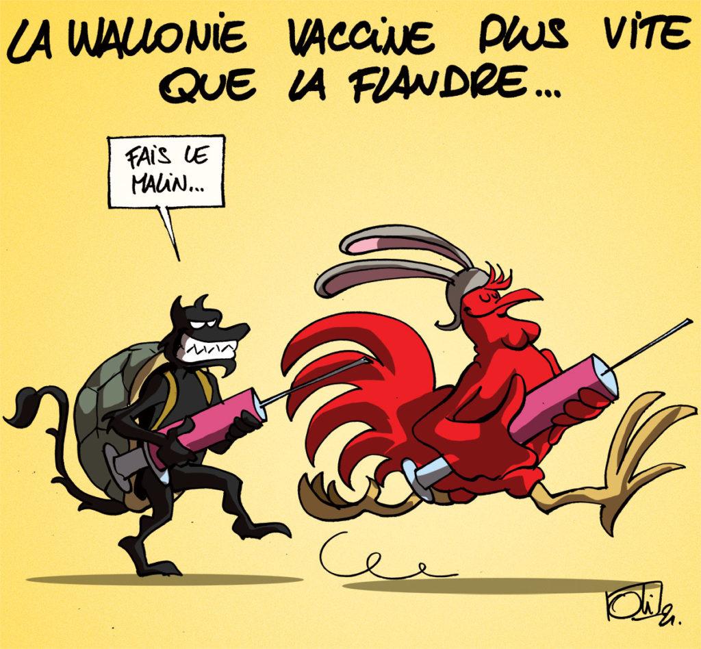 La Wallonie vaccine plus vite de la Flandre !