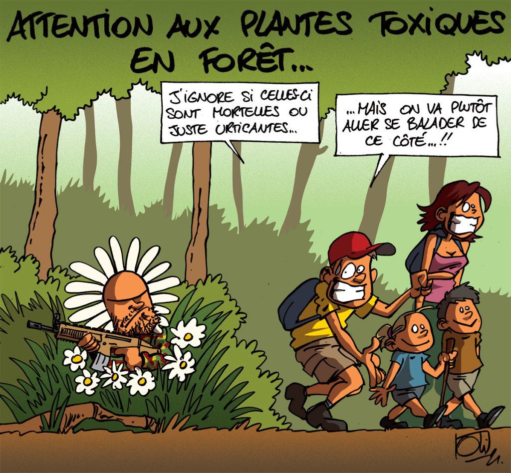 Plantes toxiques en forêt