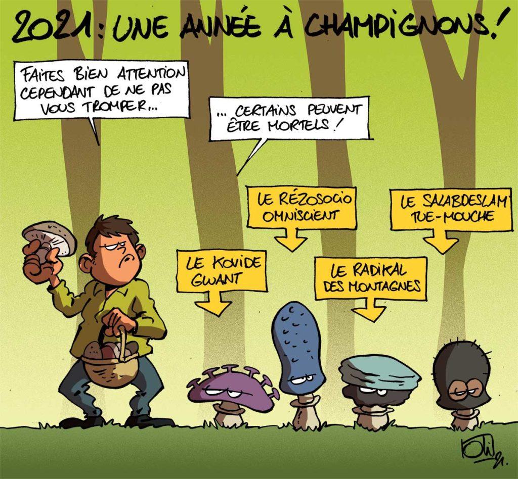 Année à champignons !