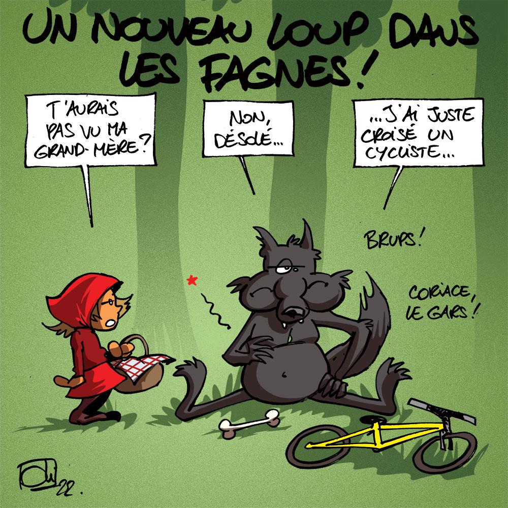 Un nouveau loup dans les Fagnes !