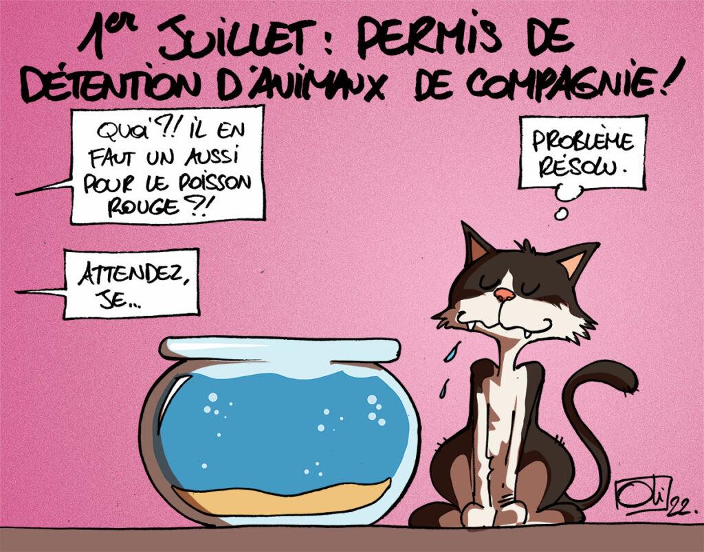 Permis de détention d'un animal !