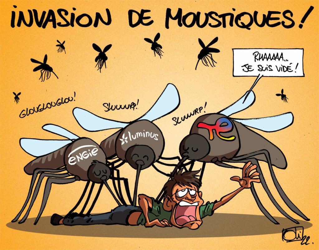 Trop de moustiques en Belgique